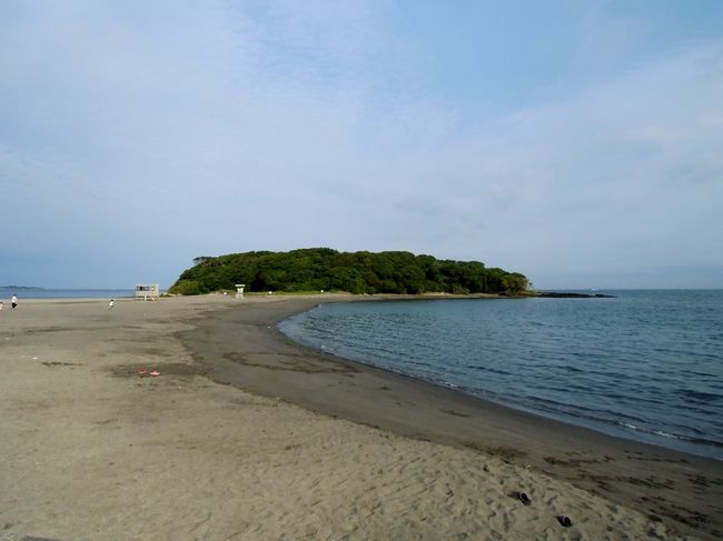 ２週連チャンで、房総スノーケリングへ行ってみました。<br /><br />今回は、館山・沖ノ島です。<br />ここ数年、ウミウシ探しでハマってる岩場あり、海水浴場あり、<br />駐車場前の堤防下でもキレイな、なかなか楽しい島です。<br /><br />沖ノ島って･･･？って人のために･･･<br />・『島』といっても、砂浜でつながっています。<br />・駐車場は無料。ジャリ駐で、たくさん･･･<br />・島内のトイレは、ヤバい（ズー達は入れなかった･･･）<br />・海の家は、２件、５：００ｐｍくらいまで･･･（トイレ・シャワーあり）<br />・公共のシャワーは、無いので、ポリタンク持参か、<br />　車で５分くらいの、館山・北条海岸の前のシャワーを使用。<br />・千葉の下の方なので、透明度も、なかなか良いですよ～！<br /><br />３連休明けの、人が少ない日に、行ってきました。<br />水温は･･･先週の『勝浦』より、少し高いかな･･･２５～２６℃くらいかな･･･？<br />ラッシュ＆海パンでは、まだまだ寒くて、長くは入ってられませんでした。<br /><br />ウミウシは･･･けっこう見れました！<br />ではでは･･･