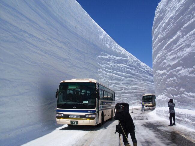 4/21(木)〜4/22(金)で立山黒部の雪の大谷を見に行くことにしました。<br /><br />開通5日目の本日が初めて快晴となったそうで翌日は曇りでしたのでまさに最高の天気だったみたいです。<br /><br />今年は大雪の影響もあり、雪の大谷の壁の高さは17mとのことです。<br />2006年の記録的積雪の時にも行きましたが今回はそれを上回る量なんで16日の開通から早いうちでと考えGW前に予定しました。<br /><br />■過去の積雪(4月下旬の開通当初です)<br />2011年…17m<br />2009年…15m<br />2008年…16m<br />2007年…14m<br />2006年…19m<br />2005年…15m<br />2004年…16m<br />2003年…17m <br /><br />ポスターのような最高の天気で気温は0℃でしたが風も無く、17mの雪も真っ白で素晴らしい景色でありました。<br />中国やヨーロッパ系と思われる外国人観光客も団体で来ており、地震で落ちこんだ感覚はここでは感じませんでした。<br /><br />平日だったんで人もそんなに混んでなく3時間室堂に滞在し、雪の遊歩道や、雪の大谷と日野セレガの新旧のバスが多数通過する様子を撮影しました。<br /><br />手段は費用面で飛行機+宿+レンタカー使用にしました。<br />これは実走した場合より金額面約6000円安いですが、それよりも時間短縮で日程も1日短縮できます。<br /><br />■費用<br /> 羽田空港⇔富山空港往復+宿泊 27525円<br /> レンタカー+ガソリン代約3000円<br /> 羽田までの高速代往復2800円+駐車場代3000円+ガソリン代3000円<br /><br />合計=39325円<br /><br />