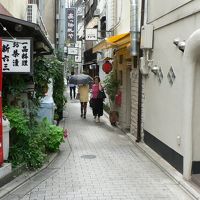 日本の旅　関西を歩く　京都市、木屋町通り（きやまちどおり）周辺