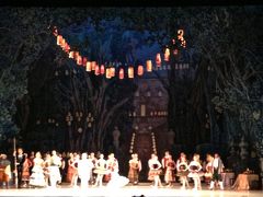 白梟"ジーちゃん"と歩くロシア9　マリインスキー劇場でバレエ「ドン・キホーテ」を見る