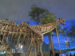 東尋坊と日本最大の恐竜博物館＆夏にスキージャム勝山で日帰入浴
