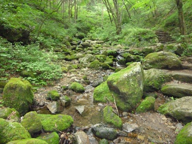 2回目の御岳山は、ロックガーデン散策目的で行きました<br /><br />往路：新宿駅発8:19　ホリデー快速おくたま3号で御嶽駅まで<br />　　　バスでケーブル下　ケーブルカーで御岳山駅　<br />復路：往路の逆ルート<br />　　　御嶽駅発14:00　青梅線～青梅特快利用<br /><br />御嶽神社までは普通の観光地って感じですが、<br />ちょっと足を伸ばしただけでこの景色！<br />下ったり登ったり、道に変化があって楽しいし、<br />何よりロックガーデンの美しさ、癒されます！<br />山歩きの途中に、水（滝とか渓流とか）があるコースはいいですね～<br />