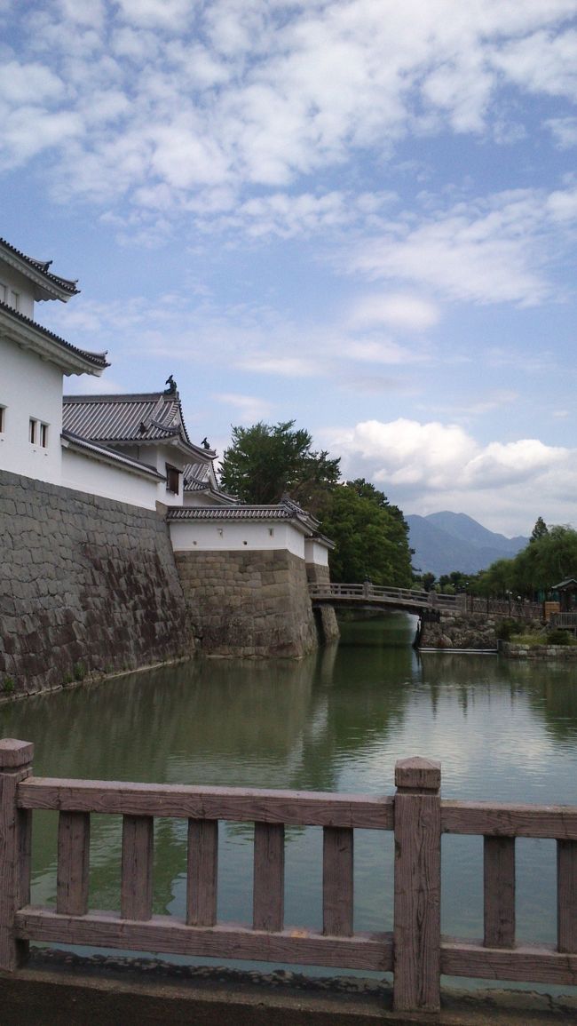 急遽、静岡旅に出ることに。いつもは新幹線で通過するだけだった静岡市。初めて足を踏み入れます。<br /><br />見つけたもの。<br />＊地酒<br />＊ちょっと黒めの静岡おでん。鰹節と青のりでたこ焼きみたいに食べるん？<br />＊ちょうどいいサイズの街