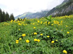 スイス花とハイキングの旅・クライネシャイデックからアルメントハイキング