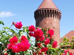 カエル鳴く薔薇の都　Estavayer-le-Lac　～スイス・ロマンドの美しい街１