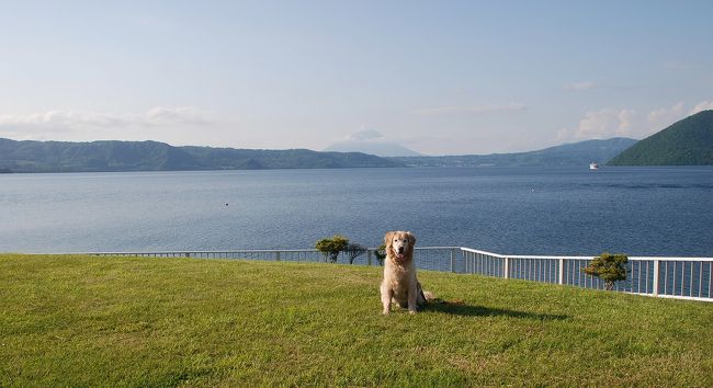 前々から行きたいと思っていた北海道にようやく行くことにしました!!<br />旅には毎回ラルフを連れて行くので、今回も何とか連れて行きたいと思い、ツアーではなく、フェリーで行くことにしました。フェリーの出航の時間の都合で、初日は東京から一気に青森まで走り、翌朝10時発のフェリーに乗り、憧れの北海道に渡りました。フェリーでは一人車の中にいたラルフでしたが、慣れているのか無事元気に北海道に到着しました。<br />７泊8日のラルフと行く北海道旅行記その1です。<br /><br />1日目 : 東京→青森→浅虫温泉泊<br />2日目 : 青森→函館→洞爺湖泊<br />3日目 : 洞爺湖→ニセコ→札幌泊<br />4日目 : 札幌→富良野泊<br />5日目 : 富良野→美瑛→占冠→白老泊<br />6日目 : 白老→大沼泊<br />7日目 : 大沼→函館→青森→八幡平泊<br />8日目 : 八幡平→東京<br /><br />