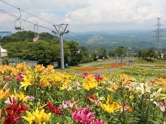 標高1000ｍ　高原のゆり「ダイナランドゆり園」リフトからの眺めは最高！