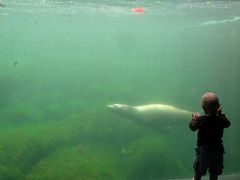 やっとおじゃましましたスウェーデン・デンマーク⑦コペンハーゲン市内観光その参