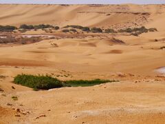 Laayoune