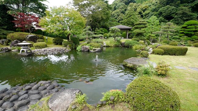 1500豊田ホタルの里ミュージアムを出発，国道435号線，491号線を通り，1517一の俣温泉グランドホテル着．なんと1500過ぎにホテルに入るなど普段の私には考えられない．山の中にある割には大きなホテル．庭が広く良く手入れされている．部屋も大きさはまあまあ．若干そろそろリフォームしたほうがいい古さ．温泉はいい．今回はゆっくりしたくて，またサウナにゆっくり入りたくてここにした．風呂は素晴らしい．まるでよくある，都会の温泉のよう．露天風呂や打たせ湯，サウナなどがある．．私はサウナが好きなのでどうしても大きなホテルになる．http://ichinomata.co.jp/grand/spa/index.html<br />2時間以上ゆっくり入る．部屋食だったが1泊二食で一人16950円の料金で考えるとまあまあかなと思う．朝食もまあまあ．風呂好きなら泊まっていいホテルと思う．翌朝もゆっくり0940出発．国道491号線は途中から厳しい道で携帯電話も通じないので，何か事故が起こったらSOSできないので通過できないとホテルの人に言われたが，どのくらい厳しい道か見に行きたくなったので，さらに上流に行ってみる．道がやっぱり狭く，断念．下関にこんな秘境があるとは！！一の俣砂防ダム湖などをみて引き返す．1015グランドホテルの前まで戻ってきた．やっぱり435号線を角島までいこう．