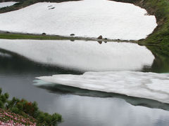 涼を求めて北海道①　旭岳姿見の池自然探勝路