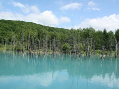 涼を求めて北海道②　青い池、しらひげの滝、白金不動の滝、ぜるぶの丘