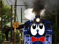 大井川鐵道の青い蒸気機関車を追いかけて