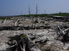 初夏の北海道　スペシャル旅　５日目　知床五湖（一湖）　野付半島　摩周湖