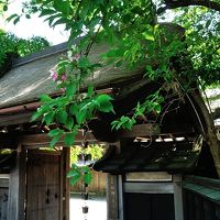 秋田さいぐ　③角館散策（ブロガー後藤さんとまち歩き）