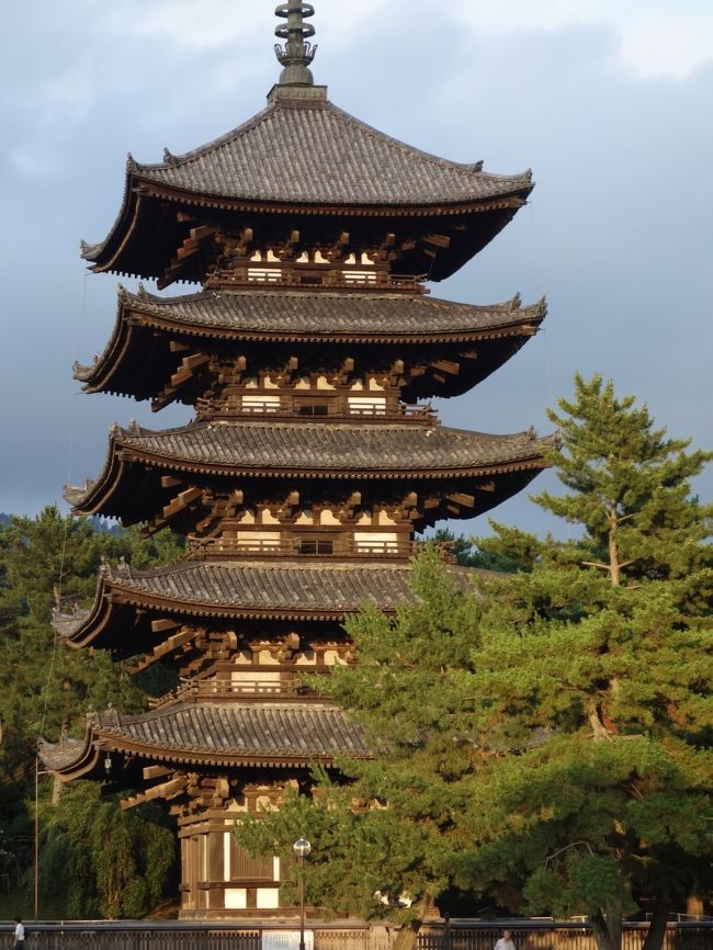 シカを横目で興福寺の五重塔をみて，奈良の夕暮れをぶらぶらしました。