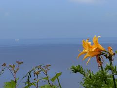 積丹ブルーとお花の群生に感動！編～2013初夏の北海道　オフ会込み1泊2日弾丸の旅１