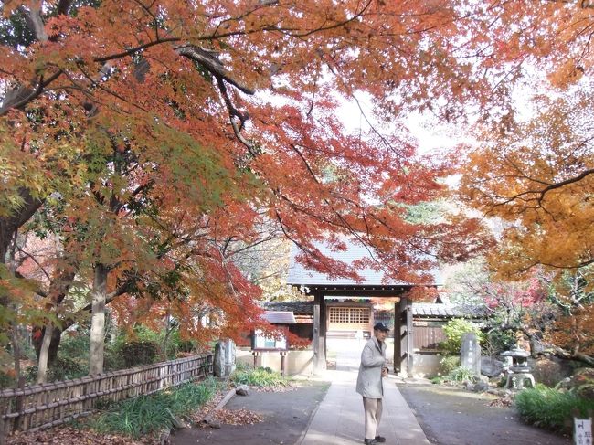 ご近所の季節写真シリーズです。<br />川口　興禅院の紅葉を見に行ってきました。<br />http://www.ukima.info/meisho/kawaguti/kouzenin/hondo.htm<br />目の前にある小林もみじ園の写真も含まれています。