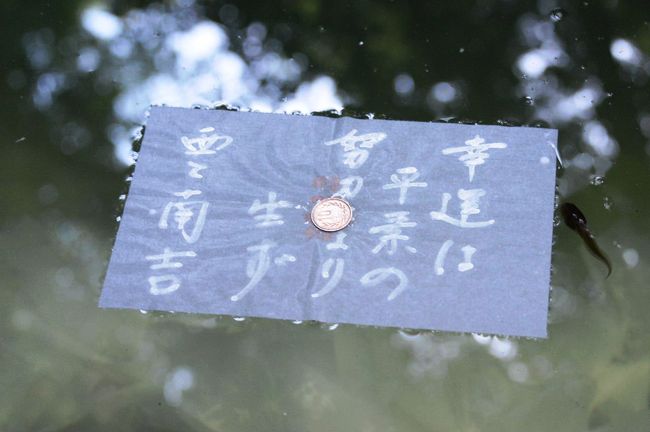 皆生温泉に宿泊して、山陰(島根県&鳥取県)へのドライブを楽しむ。<br />総走行距離=820km。 <br />今回の旅の印象は、一言で言うと、「暑かった!」。 <br /><br />この旅行記は、島根県観光・松江市の「八重垣神社」と、<br />翌日訪れた「美保神社&美保関灯台」の旅行記です。<br /><br />出雲観光後、縁結びを願う人々が訪れる「八重垣神社」へ。 <br />ここは、着物姿の縁結び娘が境内をくまなく案内(無料)してくれます。 <br />平成26年3月末(12月30日~1月5日を除く)までの毎日、<br />1日5回(10時・11時・13時・14時・15時)、約30分間のガイドです。<br />しかし、訪れたのが、16時を過ぎていたので、<br />残念ながら、縁結び娘には会えなかった。<br /><br />・八重垣神社<br /> スサノオノミコトが、ヤマタノオロチ退治の後、イナタヒメと居を構えるにあたって詠んだ、日本最古の短歌とも言われる古歌「八雲立つ出雲八重垣妻ごみに八重垣つくるその八重垣を」に由来する神社。本殿から少し離れた裏手にある小さな森と、その中に静かに佇む「鏡の池」は、全国から訪れる人が絶えることがないパワースポットとして定着している。和紙の中央に硬貨を乗せ、鏡の池に浮かべて、その沈み具合で縁の遅速を占う“縁占い”が若いカップルに人気です。 【しまね観光ナビより】<br /><br />・美保関灯台<br /> 島根半島東端の地蔵崎の先端に、国の有形登録文化財に指定されている灯台。明治31年に完成した。地蔵崎付近は大山隠岐国立公園に含まれる景勝の地。灯台は海抜73mの岩上にあって高さ14m。【松江観光協会美保関町支部のページより】<br /><br />・美保神社 <br /> 事代主神系えびす社3千余社の総本社である(蛭子神系のえびす社の総本社は西宮神社)。えびす神としての商売繁盛の神徳のほか、漁業・海運の神、田の虫除けの神として信仰を集める。また、「鳴り物」の神様として楽器の奉納も多い。【ウィキペディアより】<br /><br />・だんだん(松江観光公式サイト)のHP<br /> http://www.kankou-matsue.jp/<br />
