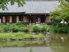 緑に埋まる真夏の浄瑠璃寺。植物の息ぶきが聞こえる。