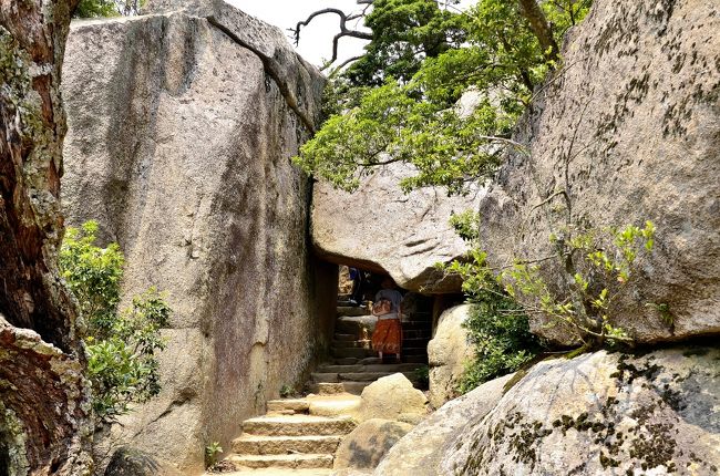 厳島(宮島)は周囲30km、全島が中生代白亜紀にマグマが地下深所に貫入して岩石化した粗粒の黒雲母花崗岩からできています。島の最高峰 霊峰 弥山は標高535m(近年頂上の巨石が山の一部と認定され+5mに改訂)あり、ここを中心に幾多の峯や渓谷を造形し、海岸線は変化に富んでいます。806年に真言宗開祖 弘法大師が草庵を結び、仏教でいう世界の中心「須弥山(しゅみせん)」になぞらえて「弥山(みせん)」と命名されました。弥山ならではの景観を創り出しているものは、原始林と弘法大師ゆかりの史跡、そして奇岩怪石。奇岩怪石は花崗岩が風化して生まれたもので、これらが形成する奇観が山岳信仰の礎になっていると言われています。大自然を五感で感じることができるワンダーランドであり、パワースポットであり、別天地でもあります。<br />弥山の情報が充実しているのは、こちらのサイトです。<br />http://miyajima-ropeway.info/<br /><br /><旅程><br />7月27日<br />新大阪===広島駅(バス)---宮島口(連絡船)~~宮島港(徒歩)<br />→厳島神社参拝(徒歩)→紅葉谷駅(ロープウェイ)――獅子岩駅(徒歩)<br />→弥山頂上→獅子岩駅(ロープウェイ)――紅葉谷駅(徒歩)→宮島港(連絡船)<br />~~宮島口<昼食><br />宮島口(バス)---錦帯橋(バス)---壇ノ浦<夕食><br />壇ノ浦(バス)---門司港レトロ<夜景観賞>(バス)---北九州八幡ロイヤルホテル<br />7月28日<br />ホテル(バス)---JR門司駅(JR)===JR下関駅(バス)---村田蒲鉾店<ショッピング><br />(バス)---角島(バス)---萩城下町(バス)---秋吉台展望台(バス)---広島駅===新大阪