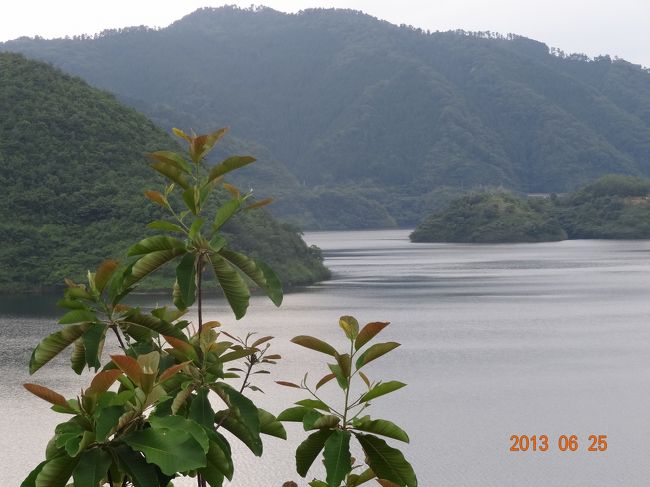 ここは岡山県苫田郡鏡野町<br /><br />写真は“奥津湖”<br />　ホオノキの葉っぱを前にして撮ってみました。<br /><br /><br />ここ奥津温泉は湯郷温泉、湯原温泉とともに美作三湯の一つで有名です。<br />特に奥津橋たもとで行われる、赤い腰巻に姉さんかぶりの足踏み洗濯の実演はとても有名です。<br /><br />また、秋には奥津渓の紅葉が、もうホントに!! 燃えるように美しくて多くの人で賑わいます。<br /><br />でも、ここは山間の静かな温泉町。<br />私が訪れたこの日は殊のほかシ〜〜〜ンと静まり返っていました。<br /><br />今回は、岡山県立森林公園へ行くのが目的なので、その途中にある<br />奥津温泉に泊まることにしました。<br /><br />天気は晴れたり曇ったり・・・。パっとしません。<br />でも、明日には晴れるらしいので明日の山登りが楽しみです。<br /><br /><br /><br /><br /><br /><br />