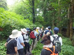 国立公園大山　大山自然歴史館＝２０１３夏の自然観察会