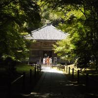 2012夏休み　初東北☆仙台・山形で芭蕉憧れの地を歩き倒す旅　その１：あぁ松島や…