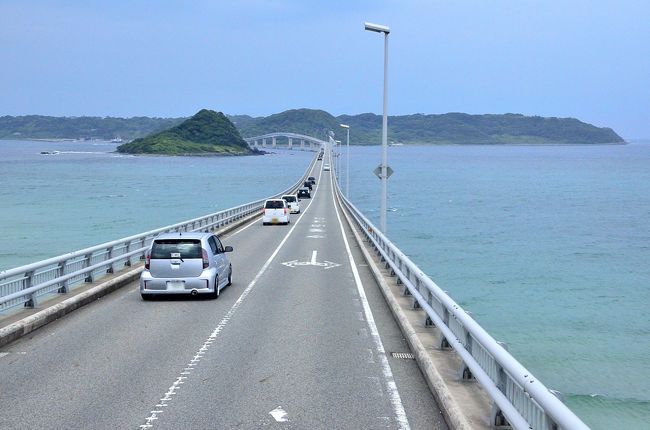 角島は、山口県西部の下関市豊北町の沖1.5kmの日本海(響灘)にポッカリと浮かぶ周囲およそ17km、人口900人程の島。夢崎と牧崎の両岬が牛の角に似ていることが「つのしま」の名の由来です。古くは平城宮址出土の木簡や「万葉集」にもその名が記されている歴史ある島です。因みに、木簡からは、現在も角島の特産品である「稚海藻(ワカメ)」が天皇に献上されていたことが判ったそうです。<br />ここが日本海ということが信じられないようなエメラルドグリーンの海は、息を呑む美しさです。真っ白な砂浜と碧い海に蒼い空。そして、白いハマユウの群生が、かすかに芳香を漂わせています。こうした自然が織りなす絶妙の空間は、この場所でこの時期にしか見ることのできない絶景です。<br />角島大橋の写真を撮るなら、島に渡る手前の海士ヶ瀬公園展望台がベストスポットです。方角的に夕暮れ時にはロマンチックな夕日も眺められると思います。途中下車できないツアーでは到底無理な話ですが…。 <br />角島マップはこちらを参考にしてください。<br />http://tsunoshima.info/tsuno000.html<br /><br /><旅程><br />7月27日<br />新大阪===広島駅(バス)---宮島口(連絡船)~~宮島港(徒歩)<br />→厳島神社参拝(徒歩)→紅葉谷駅(ロープウェイ)――獅子岩駅(徒歩)<br />→弥山頂上→獅子岩駅(ロープウェイ)――紅葉谷駅(徒歩)→宮島港(連絡船)<br />~~宮島口<昼食><br />宮島口(バス)---錦帯橋(バス)---壇ノ浦<夕食><br />壇ノ浦(バス)---門司港レトロ<夜景観賞>(バス)---北九州八幡ロイヤルホテル<br />7月28日<br />ホテル(バス)---JR門司駅(JR)===JR下関駅(バス)---村田蒲鉾店<ショッピング><br />(バス)---角島(バス)---萩城下町(バス)---秋吉台展望台(バス)---広島駅===新大阪<br />