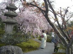 2011年イースター　東南アジアと日本（１）　都をどり初体験