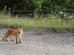 ２０１３夏休み・満足度MAX知床再訪の旅・vol.2☆知床ウトロまだまだ観光＆宿編☆