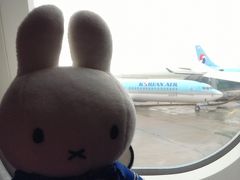 My first Korean Air boarding Incheon to Schiphol