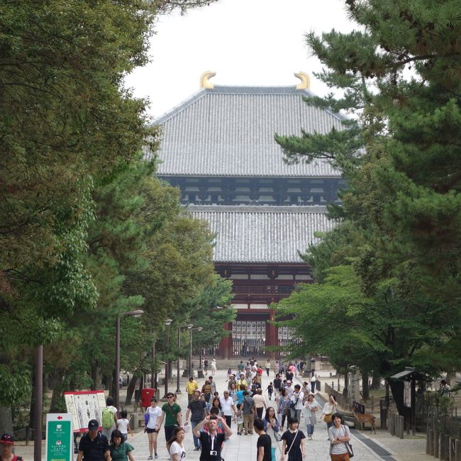 中学の修学旅行は，それはそれは，楽しかった。人生で一番楽しかったのではないでしょうか。そのハイライトが東大寺の大仏殿。ああ，なつかしの青春。