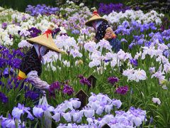 関東・小江戸巡り・2013初夏（その３／６）★水郷・佐原のあやめを愛でる