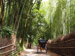 超豪華！？　嵯峨嵐山から清滝へハイキング　)^o^(BBQ付き～