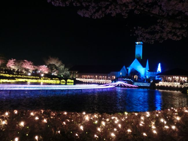 今年は、早く桜がさいたので、花見と、イルミネーションを見に、「なばなの里」へ行きました。<br />