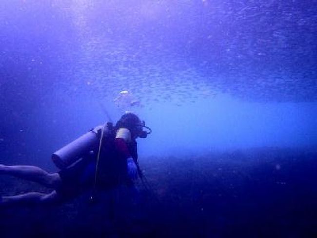13年7月 ちょっと忙しかったセブ旅行 リゾート編 初日 セブ島 フィリピン の旅行記 ブログ By Masamimさん フォートラベル