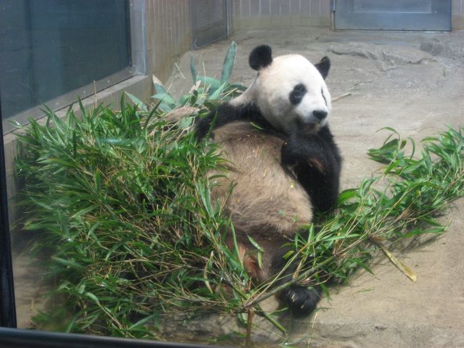 ’１３　山手線さんぽ　上野編２（上野動物園）