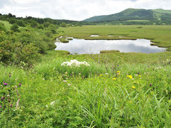 八島湿原