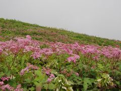 2013夏の琵琶湖・・その１（伊吹山編）