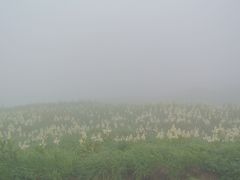 羽黒山と月山、そして山寺