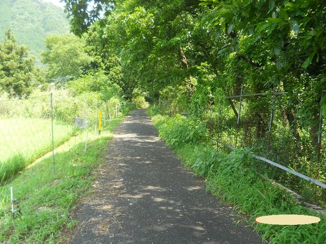 メイプル耶馬サイクリングロードに行って来ました。<br /><br />中津の駅前のホテルで前日宿泊して、翌朝8時頃出発。<br /><br />去年の豪雨災害から、未だすべての道は修復されていませんが<br />かなり進んでいるようです。<br /><br />来年の春頃には復旧工事も終了するようなのでもう一度走ってみたいです