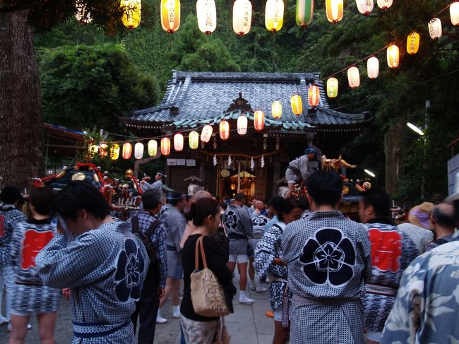 　鎌倉市大町に鎮座する八雲神社の例大祭が鎌倉祇園大町祭りである。八雲神社の4基の神輿はガラス越しに何度も見ているが、実際に担がれている神輿は未だ見たことがない。<br />　八雲神社の4基の神輿は見たところ新しいものである。2基の神輿の屋根には鳳凰が載るが、1基の神輿の屋根には擬宝珠、もう1基の神輿の屋根には蓮の花が載っている、鶴岡八幡宮や五社神社などにも屋根には鳳凰以外のものが載っている神輿がある。特に、歴史もあり、神輿の製作年代も古い鶴岡八幡宮の神輿の屋根には擬宝珠が載っているが、擬宝珠の方が古い形式であり、鳳凰は新しい形式である。<br />　鶴岡八幡宮やここ八雲神社や西御門八雲神社などでは祭りの早朝に神職らが浜で禊をする。それを示すのが、社殿向拝の柱の両側に立てた祭りの提灯立てに掛けられた海藻だと宮司さんがいう。西御門八雲神社では鳥居に海藻を掛けているので、祭りの日以外でも目にすることができる。<br />　夜の神輿渡御は珍しいが、八雲神社の例大祭では4基の神輿に提灯を着けて渡御する。担ぎ手以外の人たちはそれぞれ提灯を手に持っている。これは電池で点灯するのであるが、神輿に取り付けた提灯は昔ながらの蝋燭が光源である。神輿に提灯を着けて渡御する祭りが（少）ないからLEDとか電池で点灯するタイプのものが現れないのだろうか？<br />　八雲神社にはこれまでに何度も来て参拝しているが、社殿裏の崖には気が付かなかった。祇園山ハイキングコースの登り口になっているのだが、その脇は断崖絶壁になっており、コンクリートで覆われている。頼朝以前からの神社が境内敷地を広げるために崖を削っていることなど想像もしていなかったことである。<br />（表紙写真は鎌倉祇園大町祭り前の八雲神社境内）