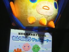 大幅リニューアル　さらにパワーアップ　１年ぶりに堪能しました　　【越前松島水族館】　今年もえかったな・・・・　こんぺいとうのぬいぐるみが欲しい