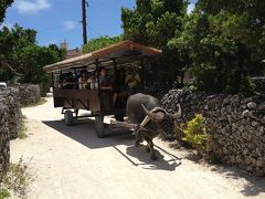 国内LCC乗り比べ・夏休み沖縄旅行3日目−竹富島へ