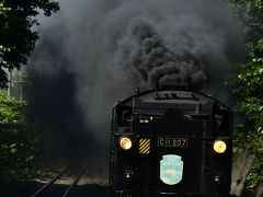 夏の北海道・北東北を巡る旅 ～SL函館大沼号を追いかけて～