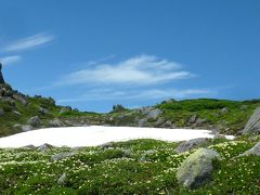 雲上の花園♪　熊にも遭遇！トムラウシ登山♪　2日目登山編