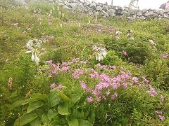 2013 夏の伊吹山日帰り登山