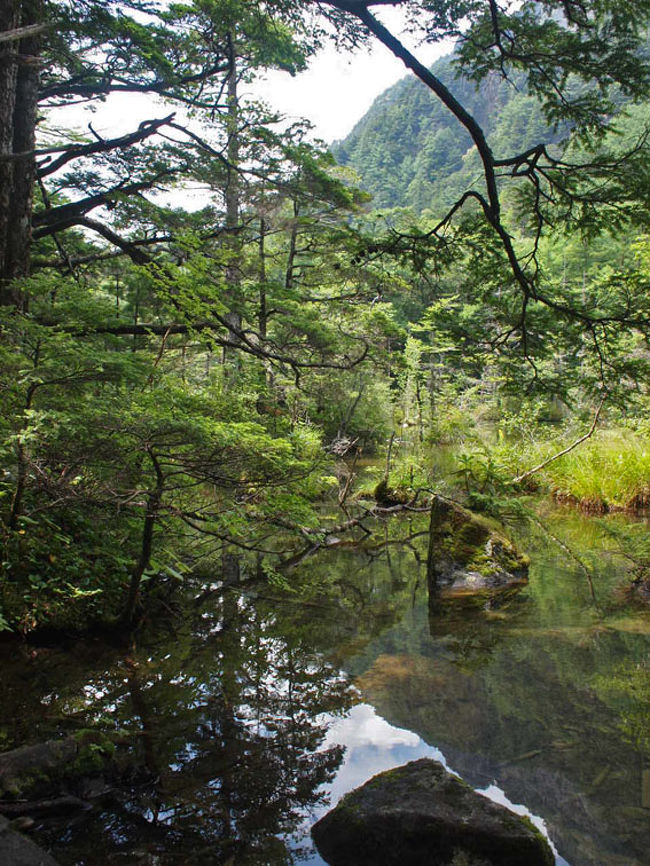 7月上旬に、初めて上高地へ行き、大正池から河童橋まで歩きました。その時は、湿度が高くて、蒸し暑かったのですが、8月に入ると涼しい風が吹いてきて、快適でした。東京は連日の猛暑で、35度を超える日が続いているので、ほっとひと息付くことが出来ました。<br />明神池はどんなところだろうと思ってワクワクしながら歩いてきましたが、お昼前だったため、人もそれ程多くなくて、静かな明神池を満喫することが出来ました。神降地の名の通り、明神は古来から「神河内徳郷」と呼ばれ、上高地の始まりの地だそうです。<br />明神岳(2931m)は、曾て「穂高大明神が鎮座する山々」という意味で、穂高連峰全体を指す言葉として使われてきました。トンネルが開通していない昔は、徳本峠を越えて、入山していて、穂高神社奥宮に祀られた明神は 、峠を越えた到着点として、この地を見た人々は神々しく、崇拝したそうです。「上高地」は、現在の明神を指して使われたとも言われています。現在の明神岳は、前穂高岳から張り出した尾根の一つを指しますが、麓の明神には、穂高神社奥宮が祀られ、現在も多くの人に信仰されています。<br />上高地・大正池〜河童橋編は、http://4travel.jp/taraveler/adoredune/album/10793331/ にアップしてあります。<br />