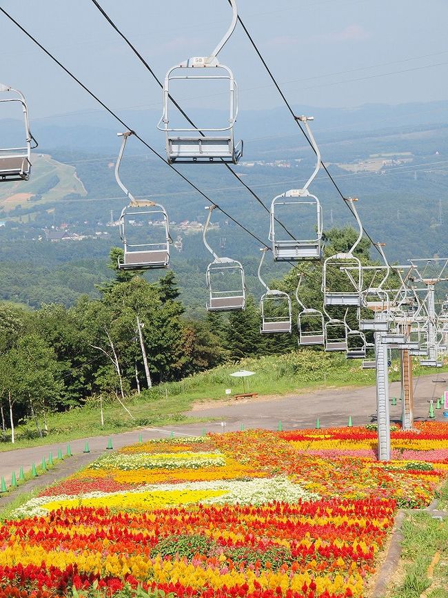 ひるがの高原 牧歌の里で動物に出会い ダイナランドゆり園で美しいゆりに癒される 最後は湯の平温泉で湯ったりくつろぐ旅 ひるがの高原 鷲ヶ岳 岐阜県 の旅行記 ブログ By ４人目のふーさん フォートラベル